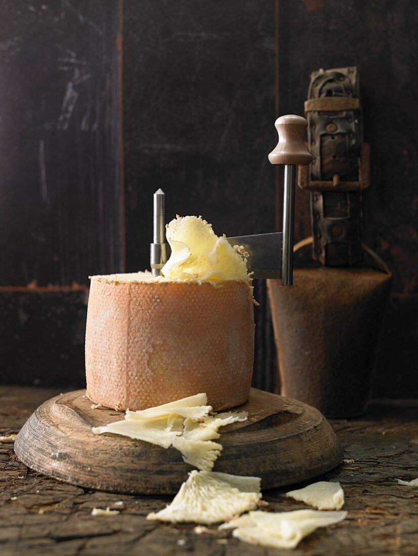 Tete De Moine cheese with a girolle – Utilisez nos images sous licence –  11388736 ❘ StockFood