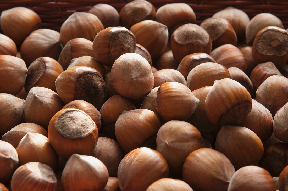 A basket of hazelnuts