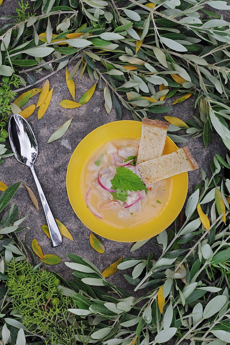 Meerbrassen-Ceviche mit roten Zwiebeln und Brot (Draufsicht)