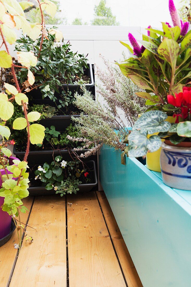 Blühenden Topfpflanzen auf Dachterrasse