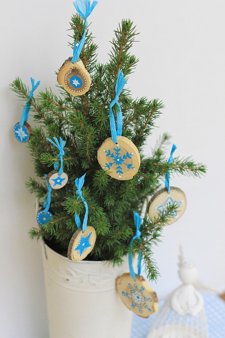 Tannenbäumchen in weißem Vintageübertopf mit kleinen hellblau bemalten Holzscheiben