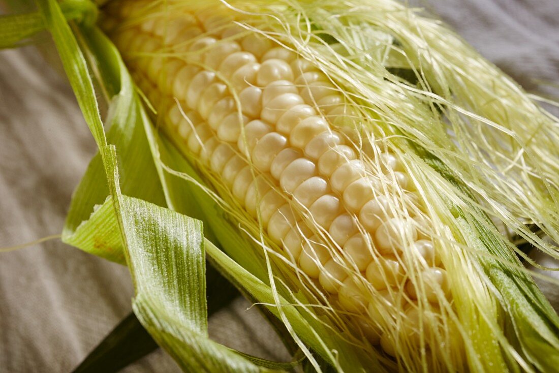 Corn on the cob overall