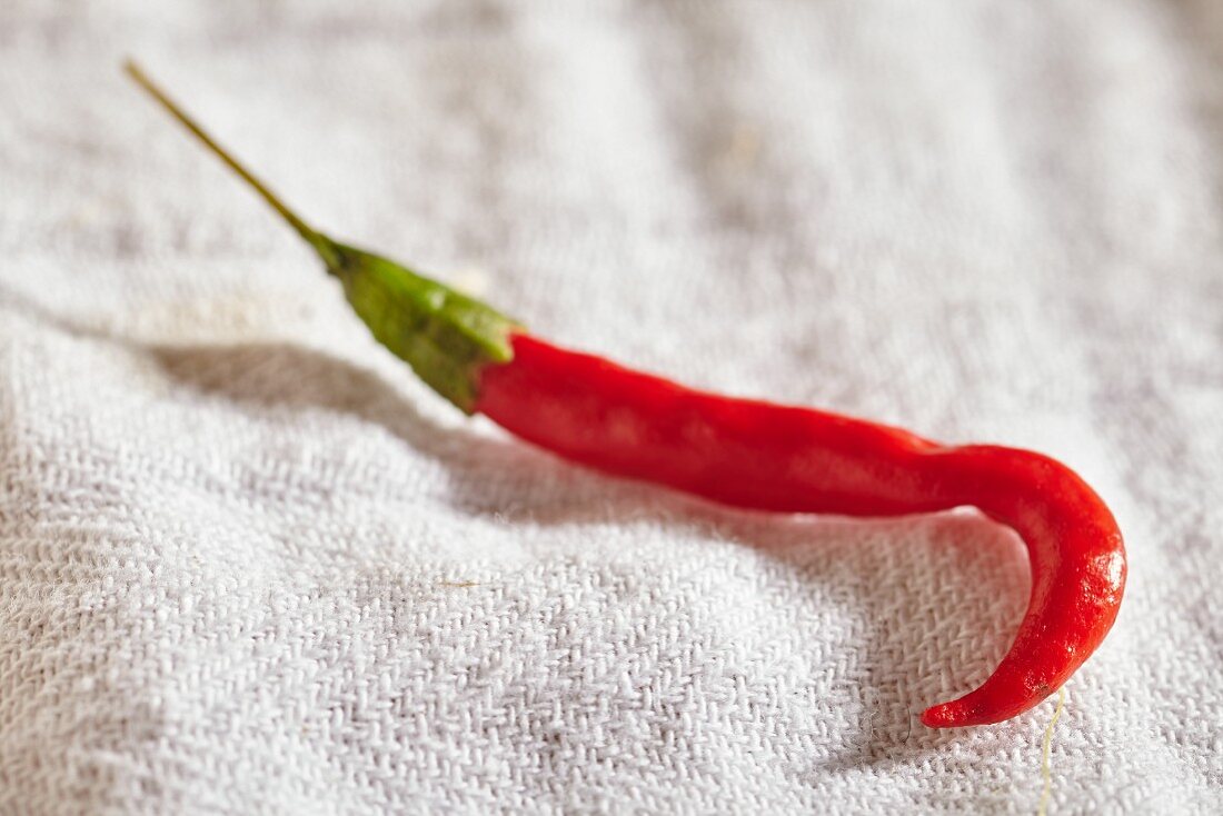 A red chilli