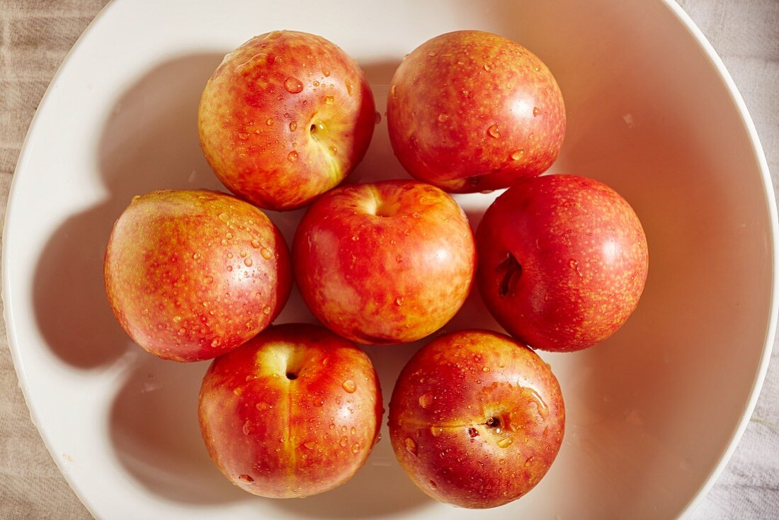 Seven red plums on a plate (seen from above)