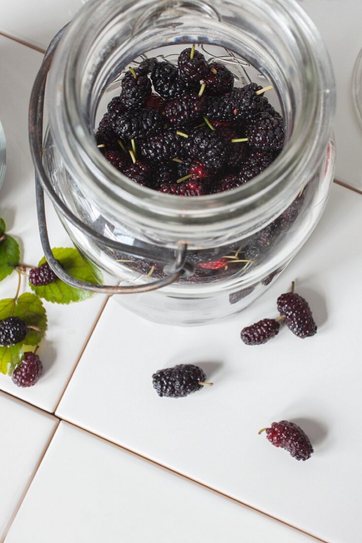Fresh mulberries in a preserving jar on white tiles