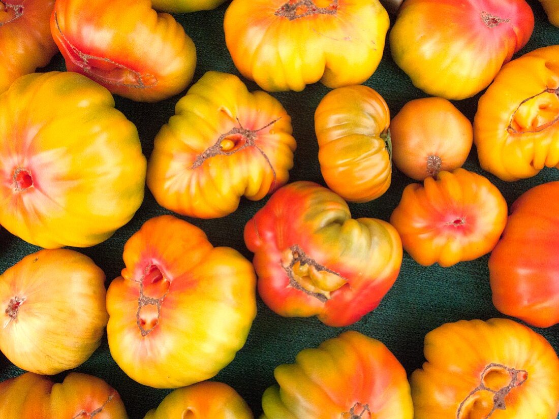 Various Heirloom Tomatoes