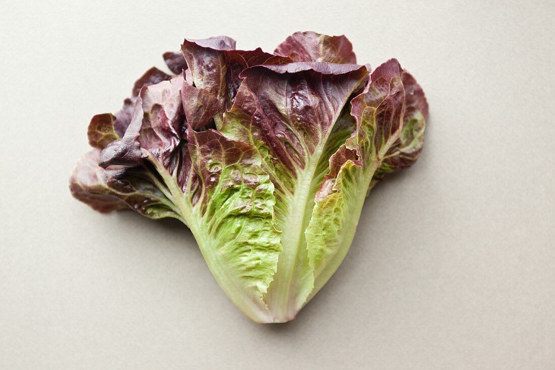 Batavia lettuce on a white surface
