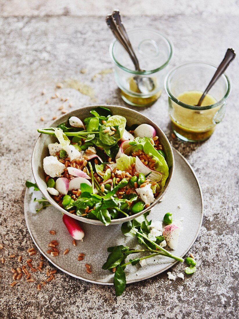 Grain salad with watercress, radishes and mozzarella