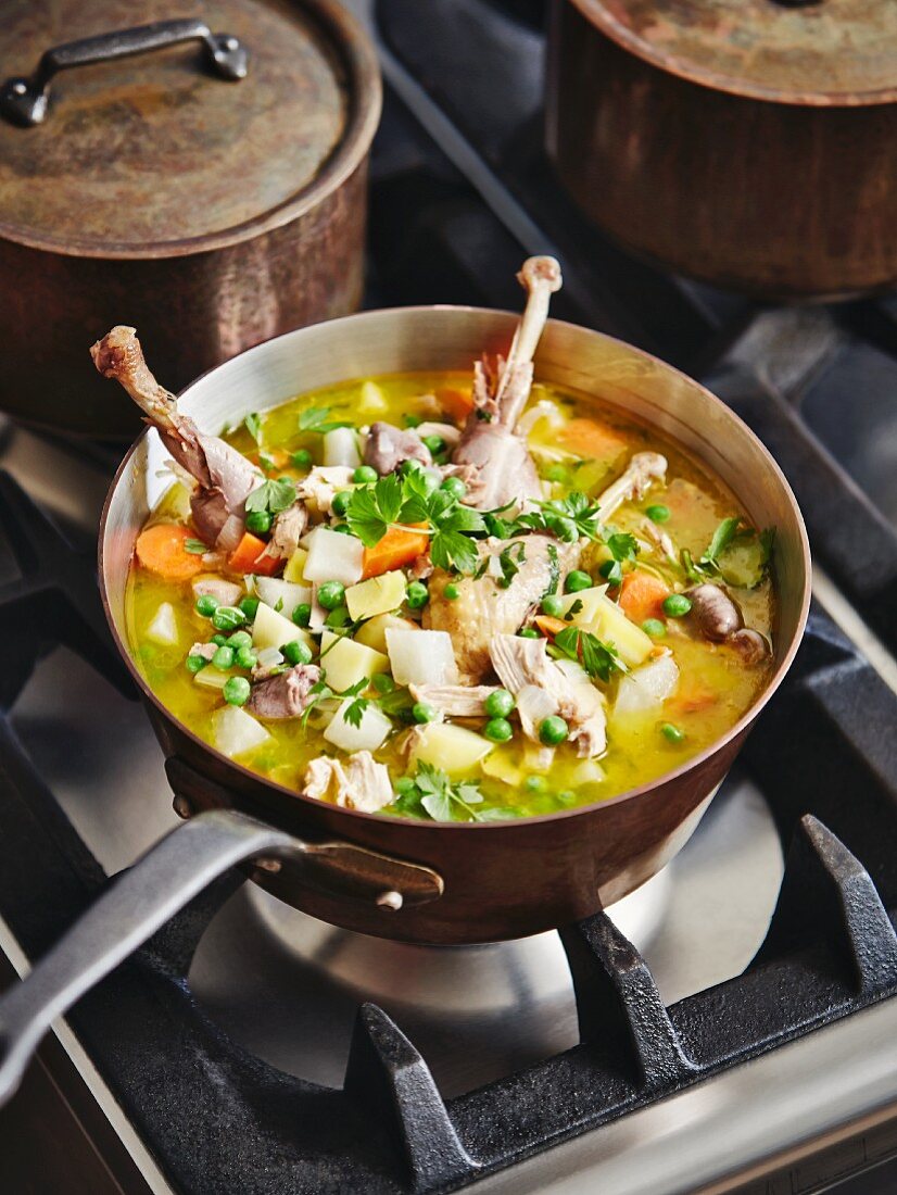 Chicken stew in a copper pan on a stove