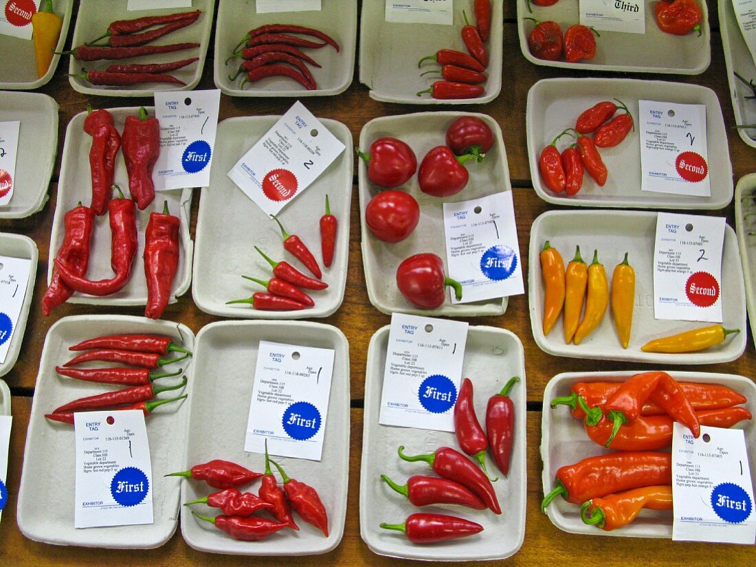 Various chilli peppers (packaged) at a market