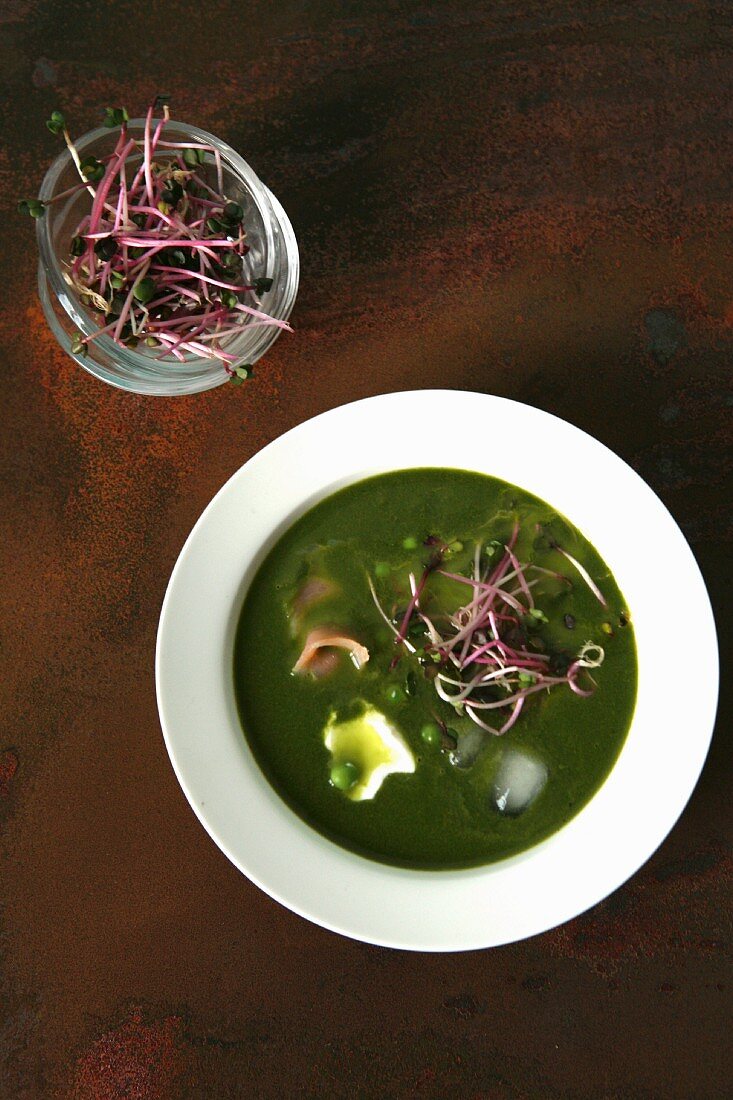 Cold pea soup with ice cubes