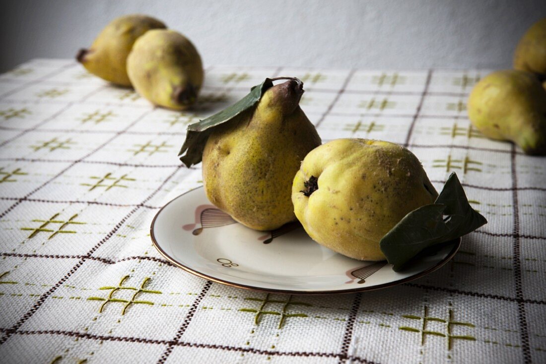 Quinces on a 1950s plate on a vintage tablecloth