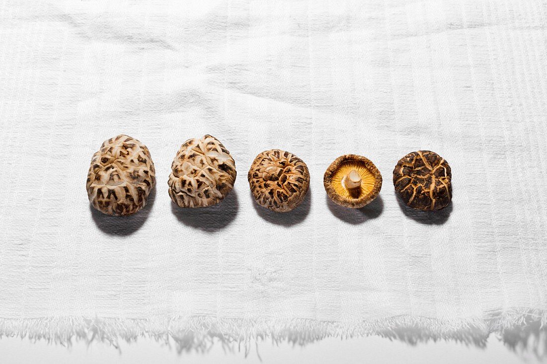 Getrocknete Shiitake-Pilze, nebeneinander gelegt