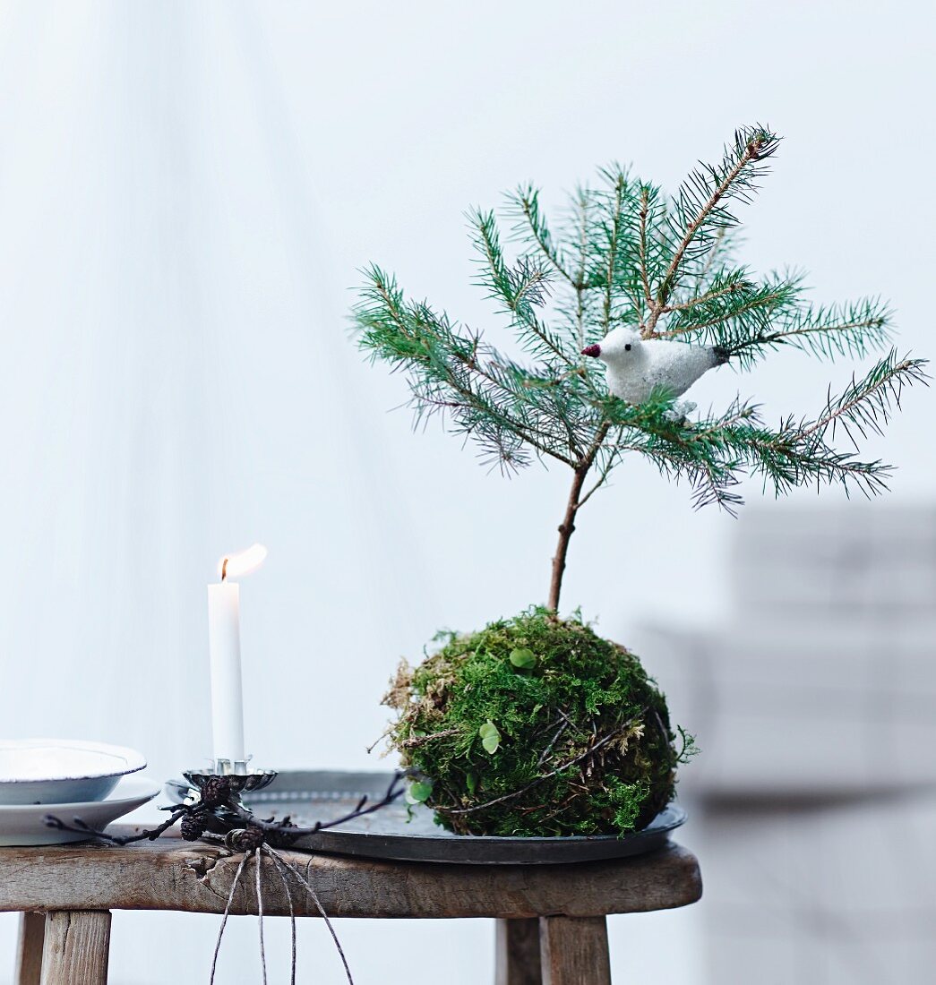 Kleiner Tannenbaum in Mooskugel mit einem Dekovogel und einer brennenden Kerze