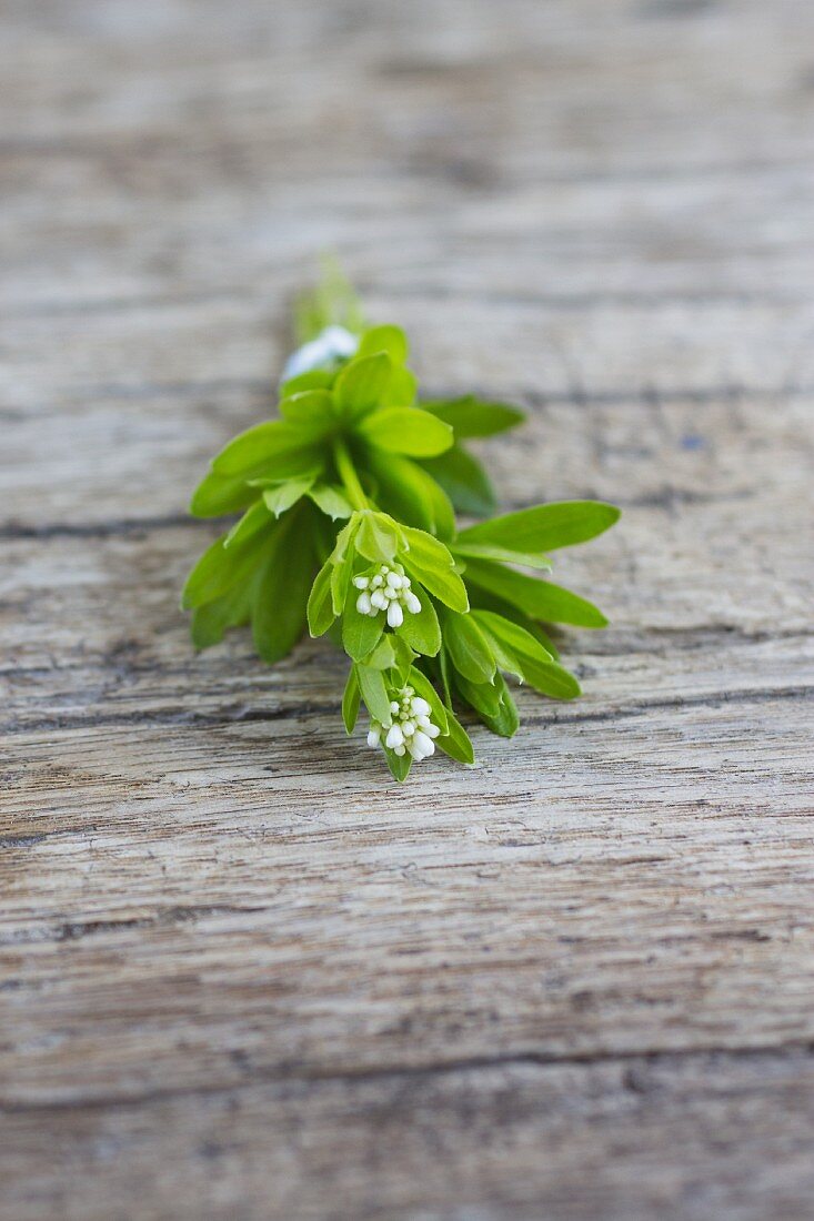 Woodruff with flowers on a wooden board