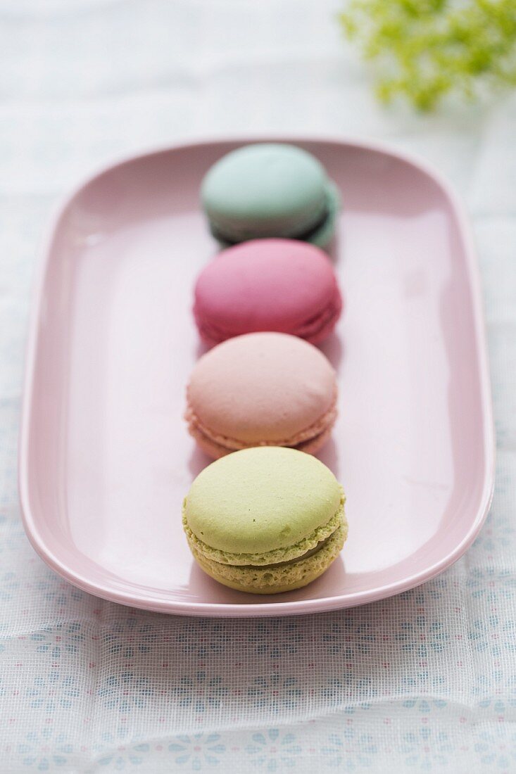 A pistachio macaroon, a strawberry macaroon, a raspberry macaroon and a blueberry macaroon on a pink plate