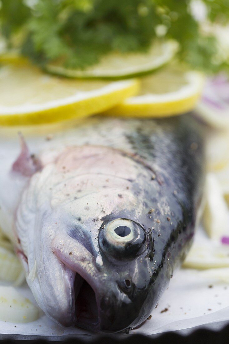 Fresh rainbow trout with lemon, lime and chervil (close-up)