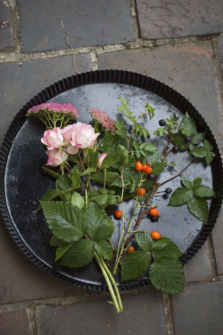 Kletterrose, Fette Henne (Sedum), Hagebutten, Schlehen und Brombeerzweig in einer Blechform