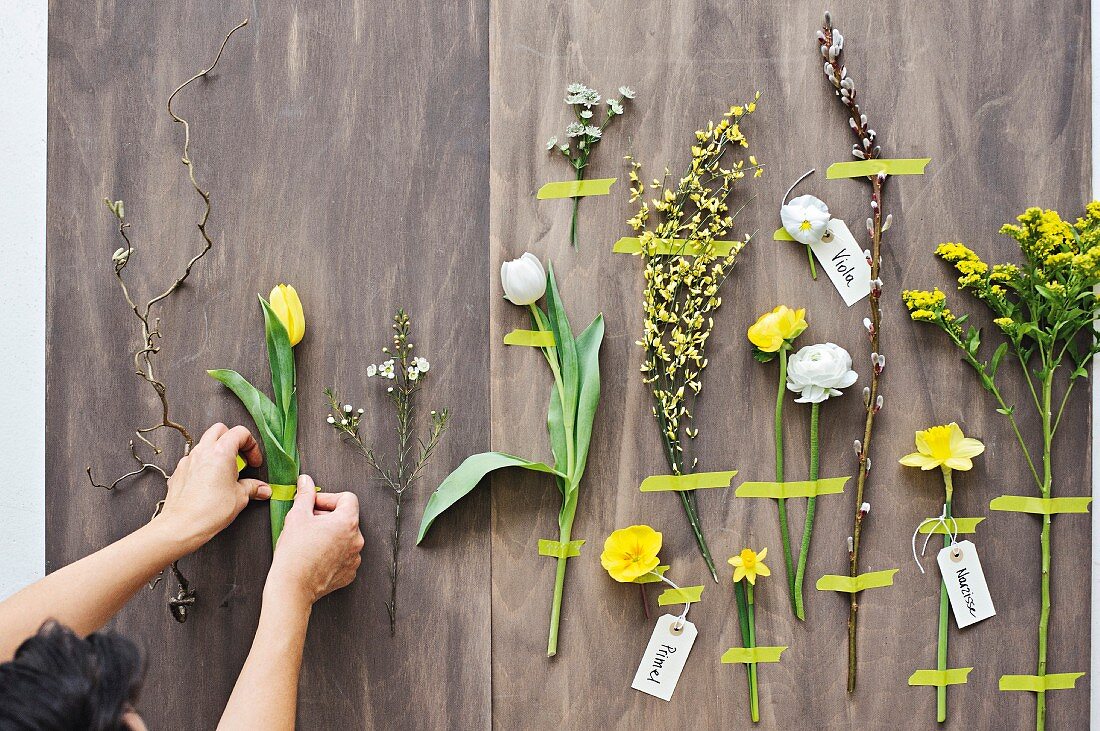 Verschiedene Blüten beschriftet & befestigt mit Masking Tape als frühlingshafte Wanddeko