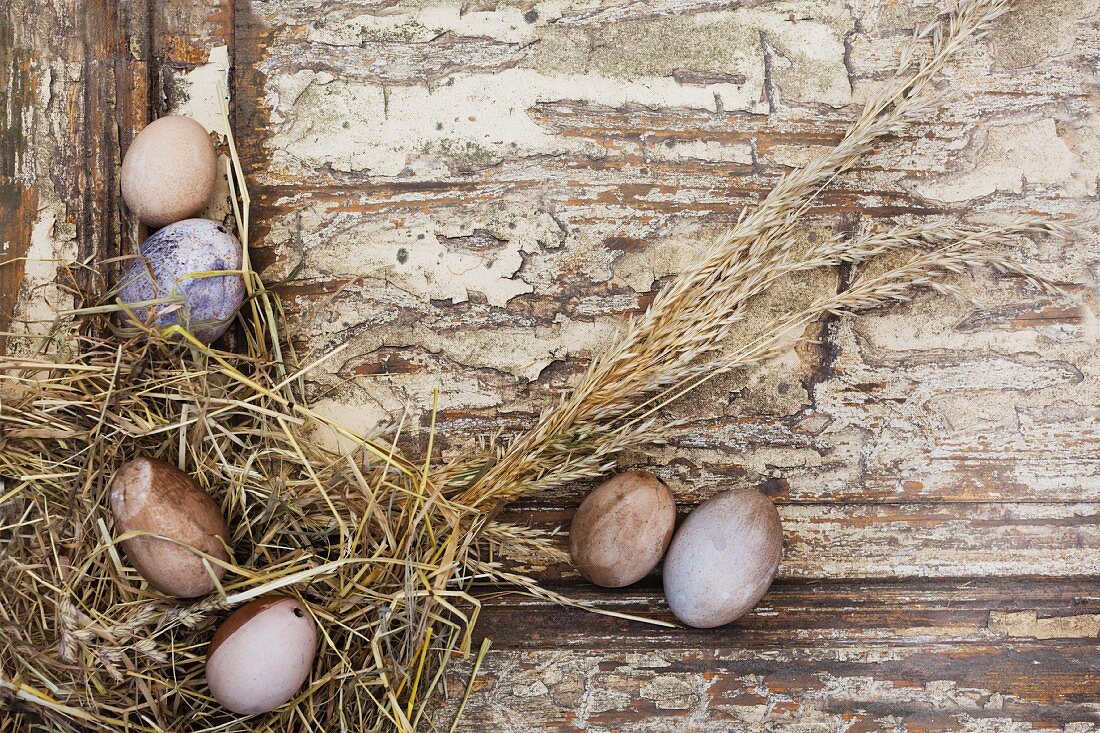 Blown eggs dyed using natural dyes arranged in hay