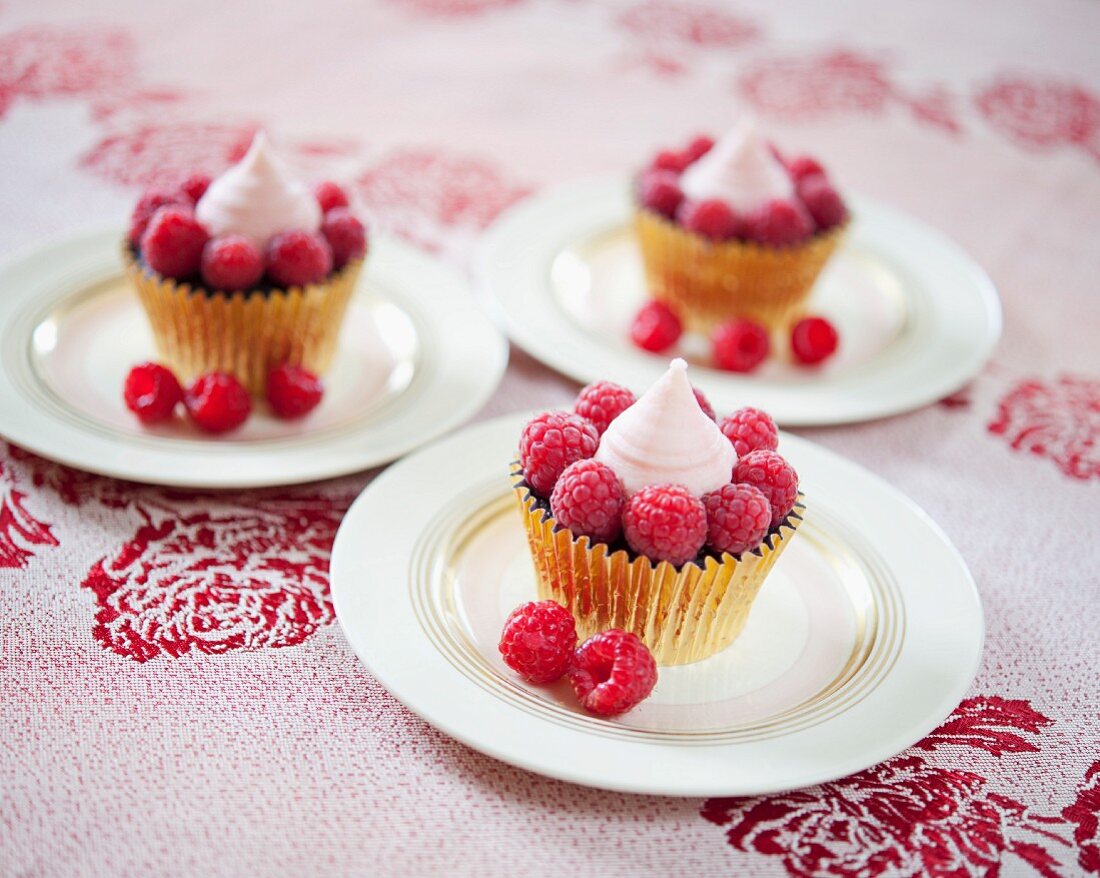 Chocolate cupcakes with raspberries