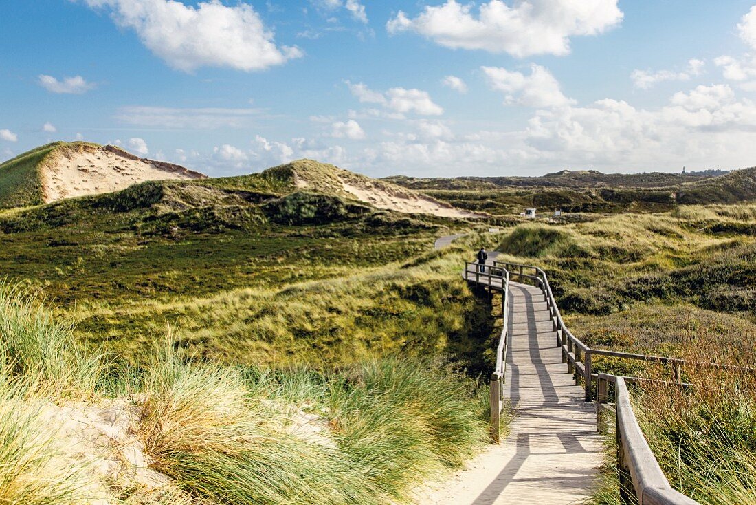A boardwalk through the dunes on Sylt