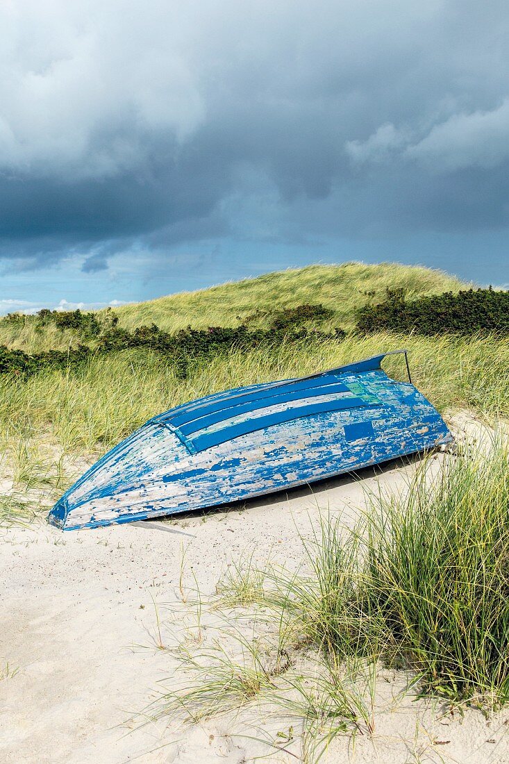 Umgedrehtes Boot in den Dünen, Sylt