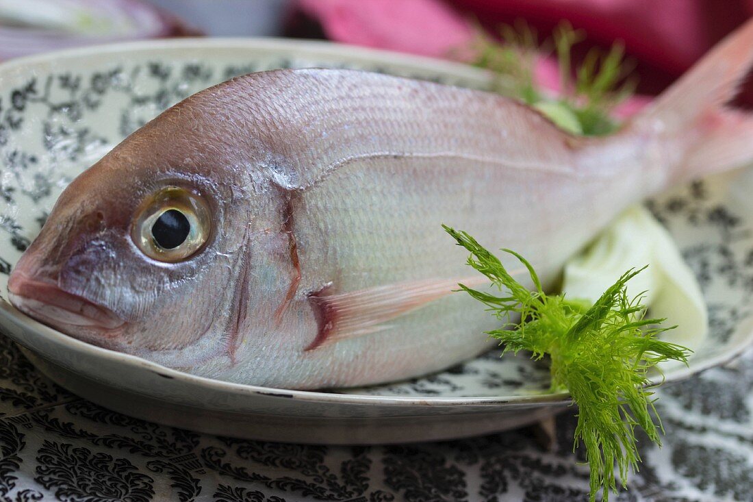 Gilthead seabream on a black-and-white patterned plate