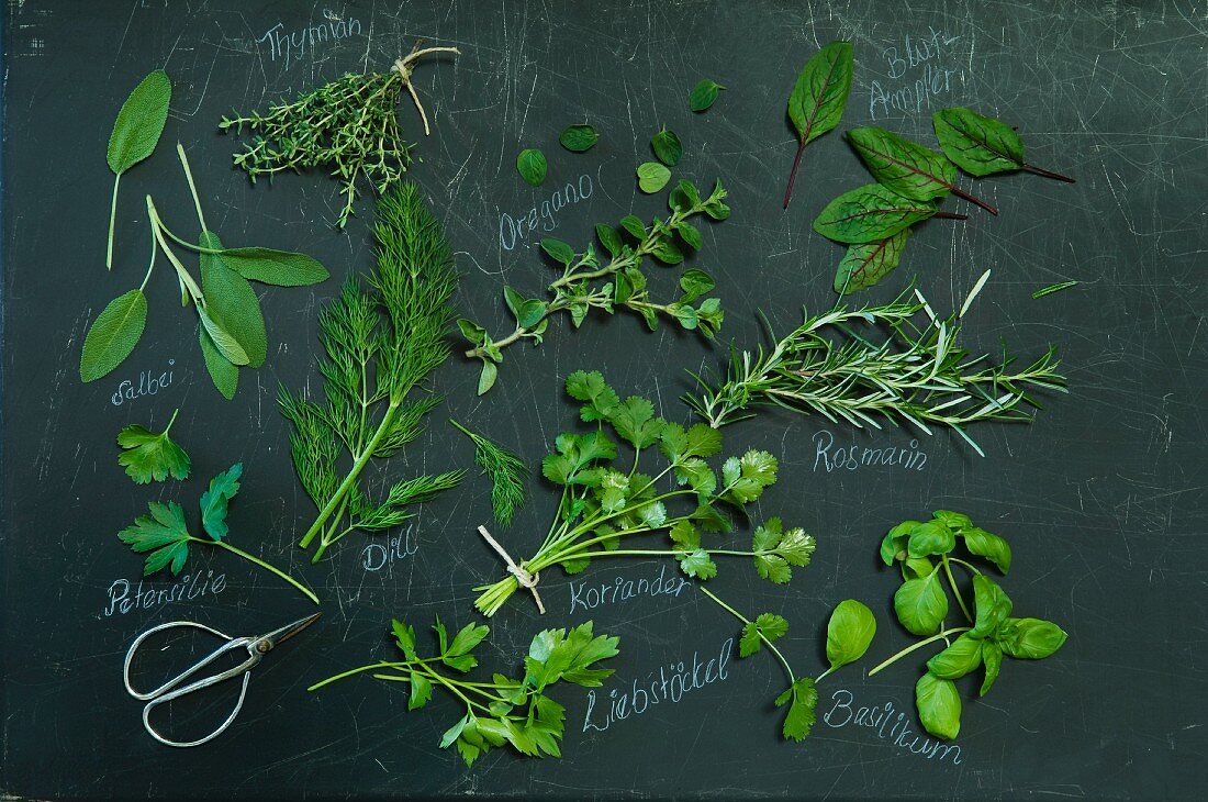 Various herbs with labels on a dark surface (seen from above)