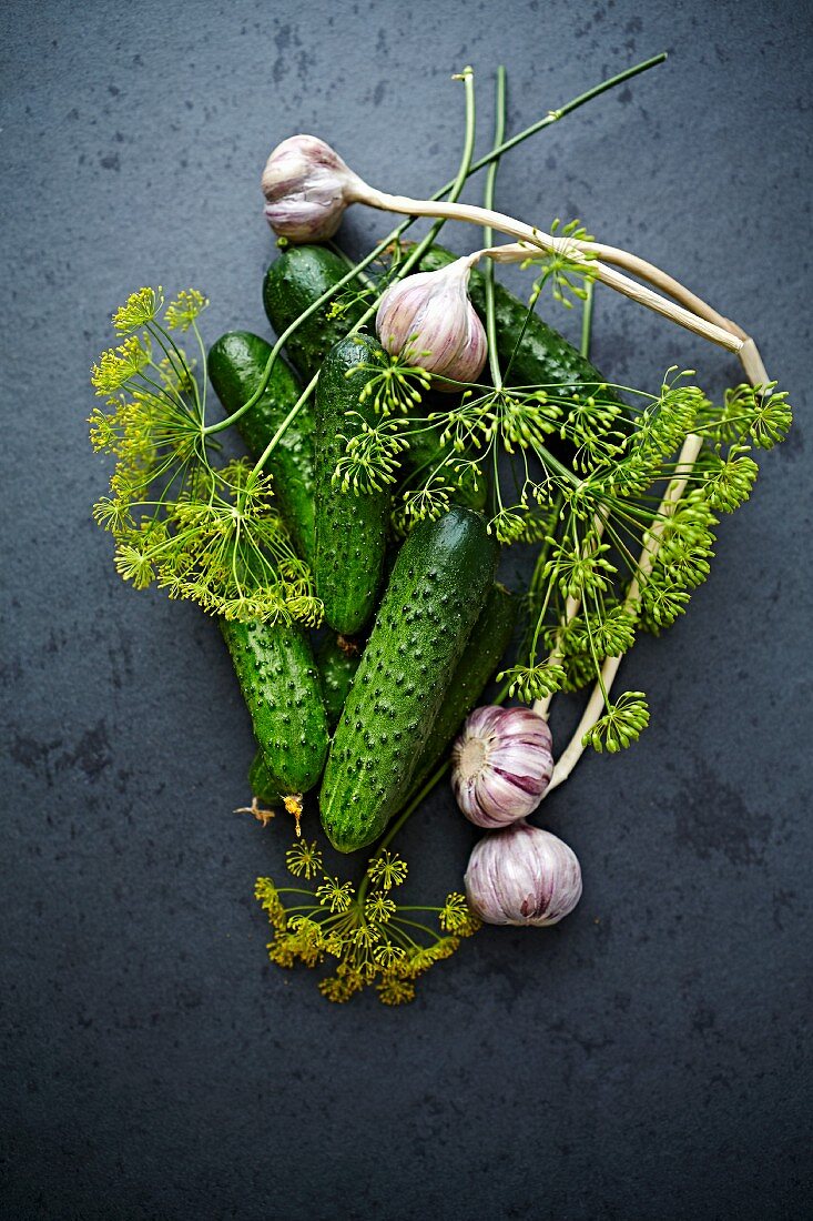 Fresh pickling cucumbers with sprigs of dill flowers and bulbs of garlic (seen from above)