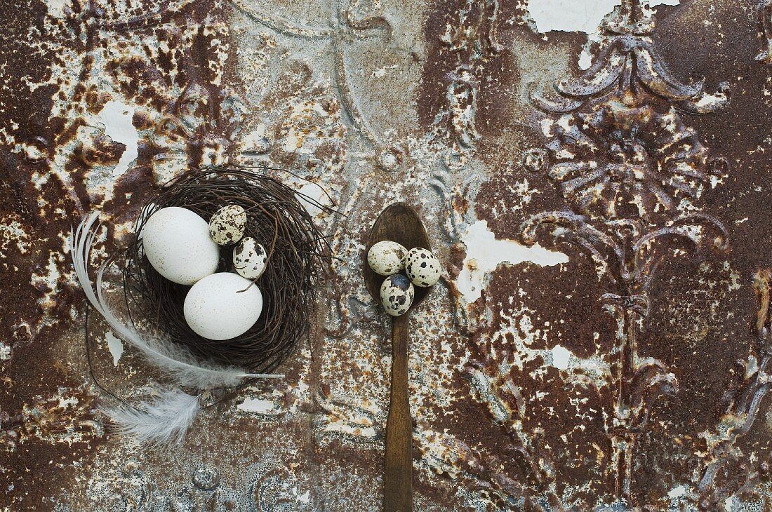 Osternest mit Eiern und Federn auf antikem Metalluntergrund