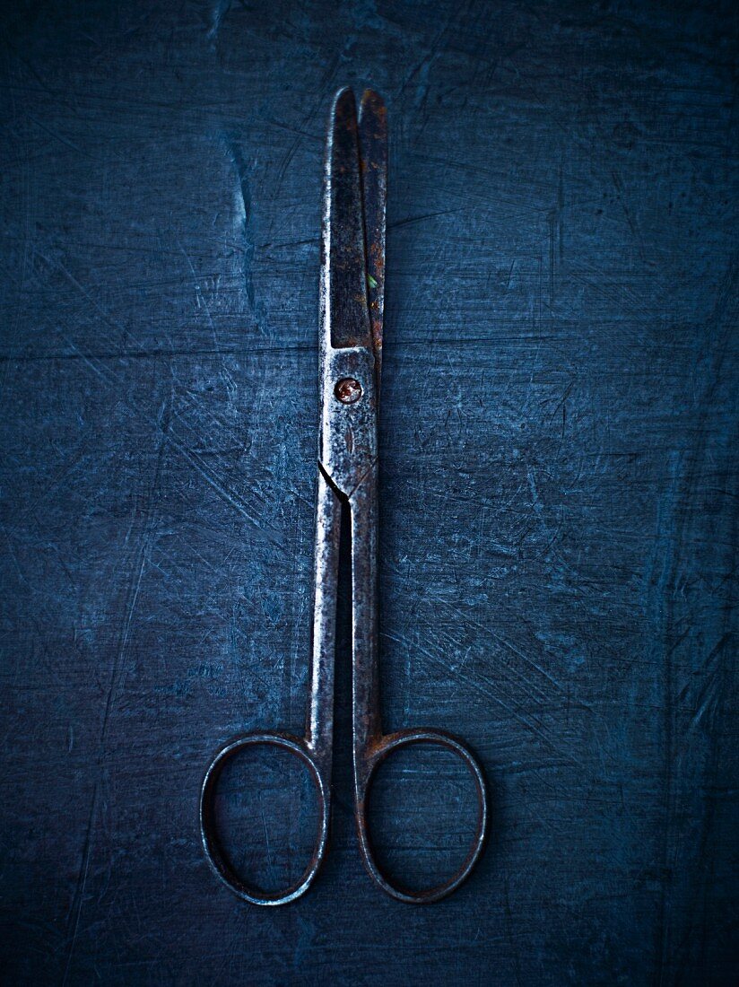 An antique pair of scissors (seen from above)