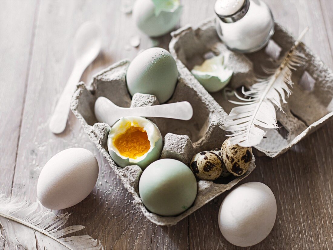 An arrangement of eggs with feathers, spoons and salt in an egg box