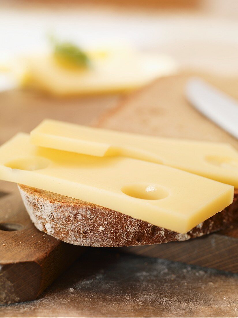 A slice of bread topped with cheese
