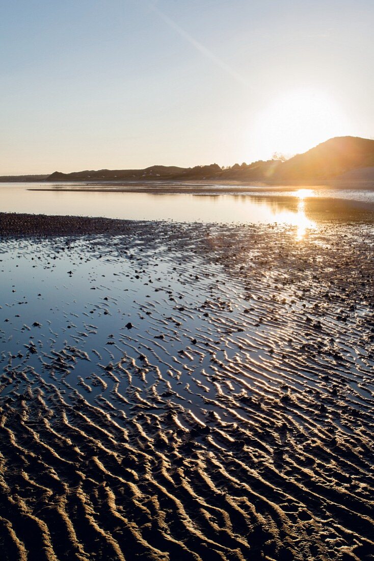 Wadden Sea in the evening, Sylt