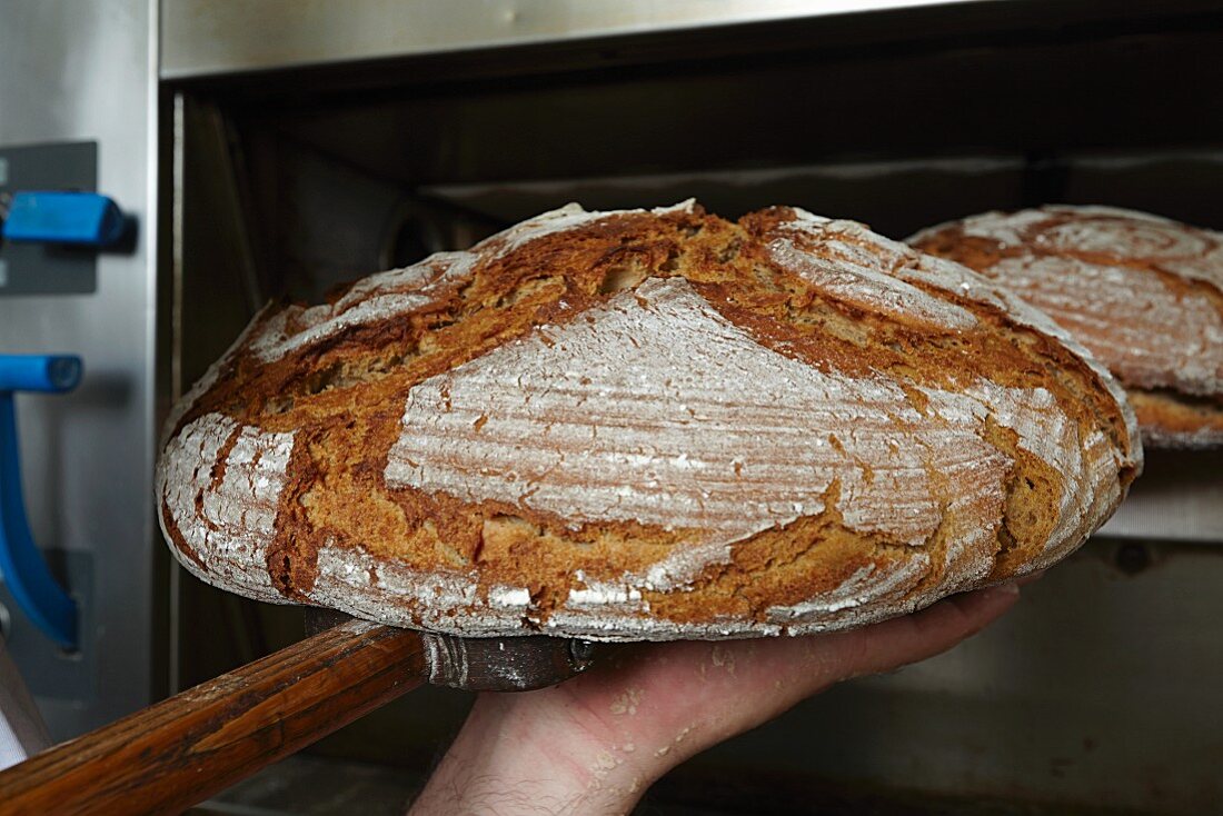 Bread being made in a bakery