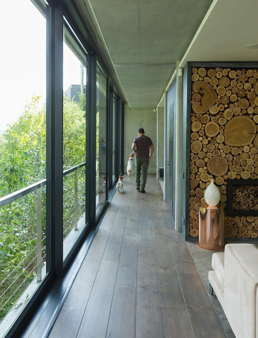 Hallway between glass wall and decorative wooden wall with man and dogs at far end