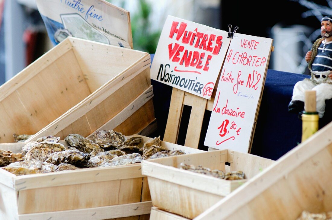 Fresh French oysters at a market