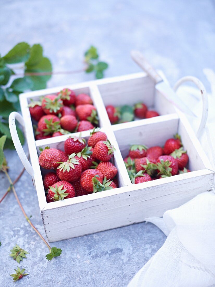 Erdbeeren in Holzkiste mit Fächern