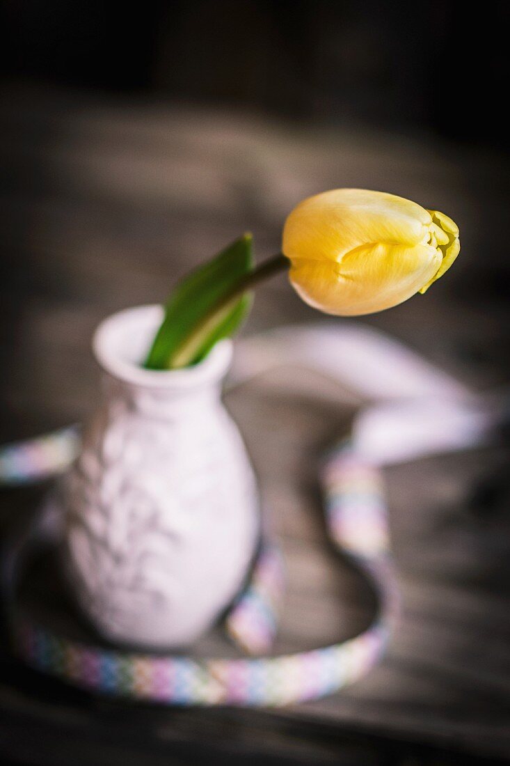 Yellow tulip in small ceramic vase