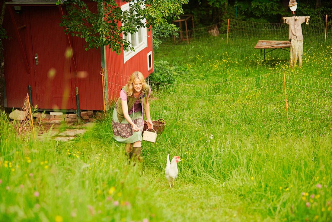 A woman trying to catch a chicken in a meadow