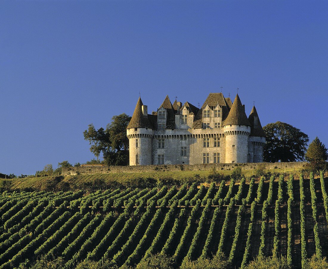Überm Weinberg thront Château Monbazillac,Bergerac,Frankreich