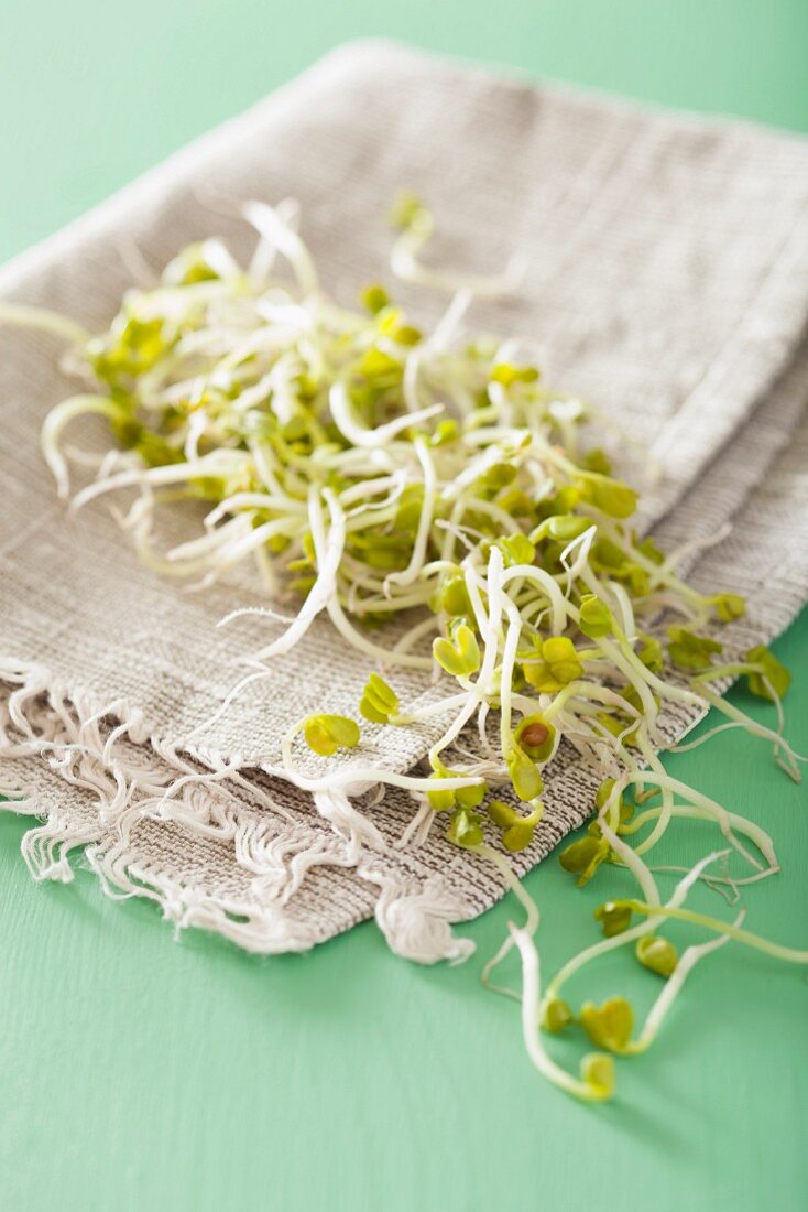 Radish sprouts on a linen cloth