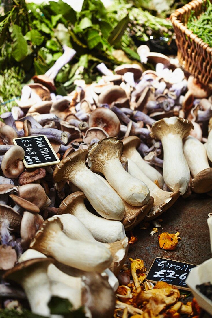 Fresh organic mushrooms on a market stand