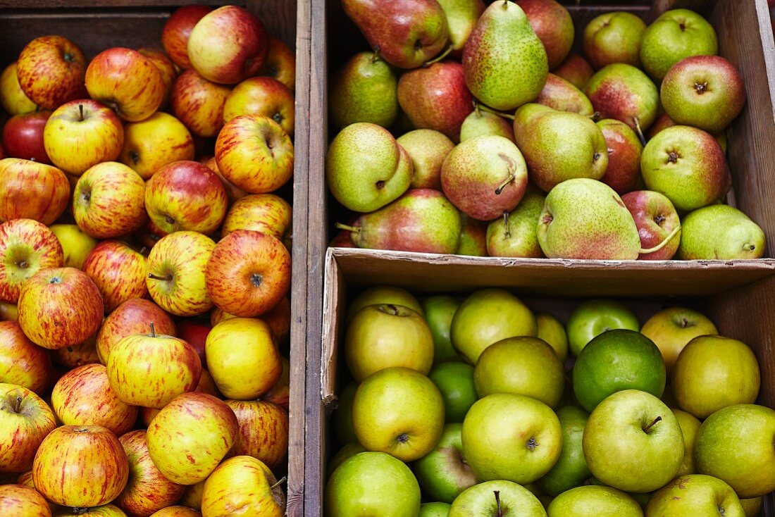 Marktstand mit frischen Äpfeln und Birnen