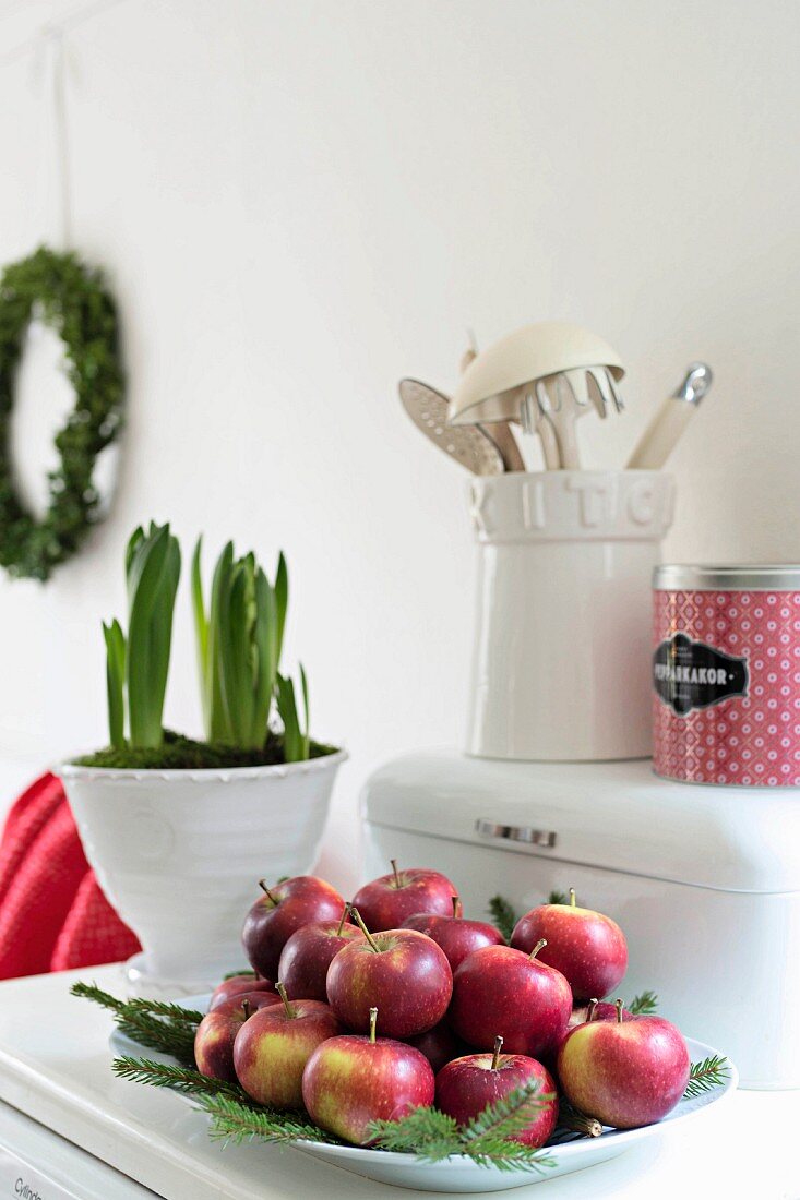 Dish of red apples and fir branches next to hyacinths in white pot