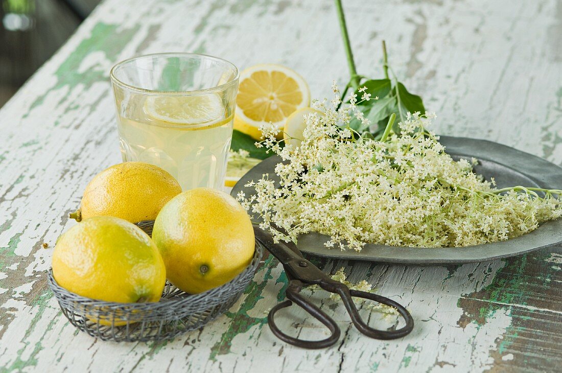 A glass of elderflower lemonade with a slice of lemon, elderflowers, a pair of scissors and lemons on a wooden table