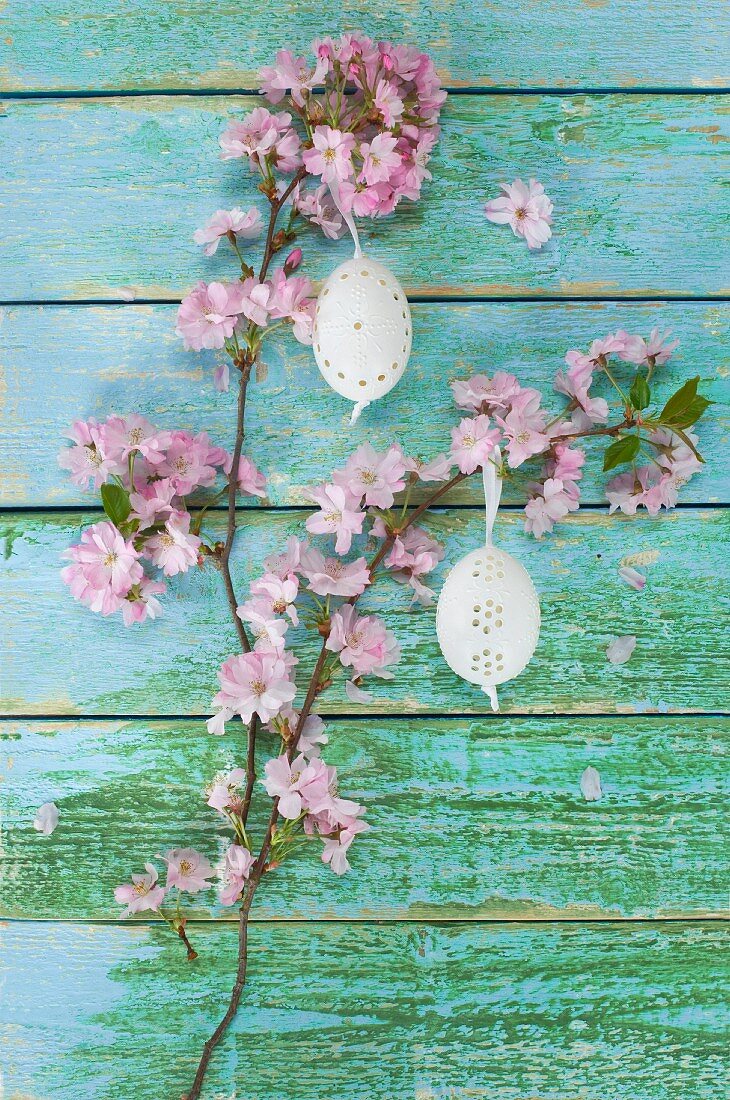 Easter eggs hanging from branch of cherry blossom against wooden background