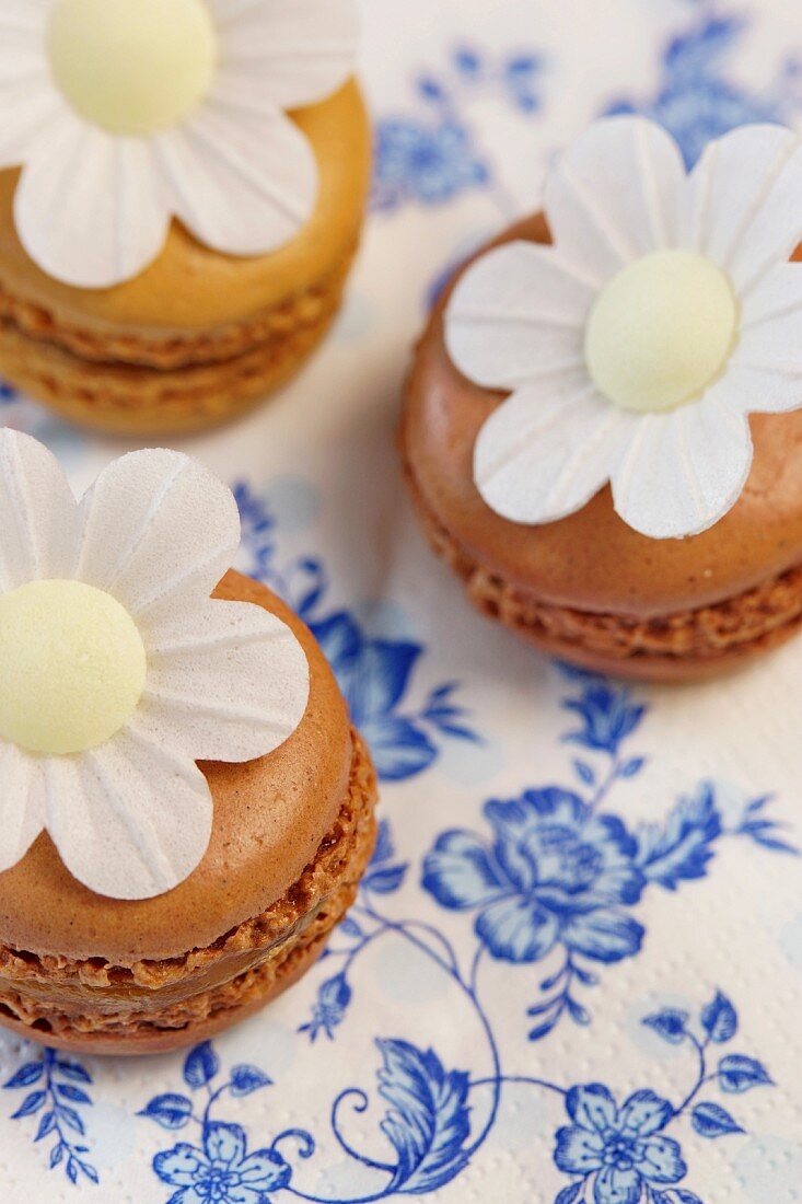 Blütendeko auf Macarons mit Schoko- und Cappuccino Geschmack auf blau-weiss floraler Papierdecke