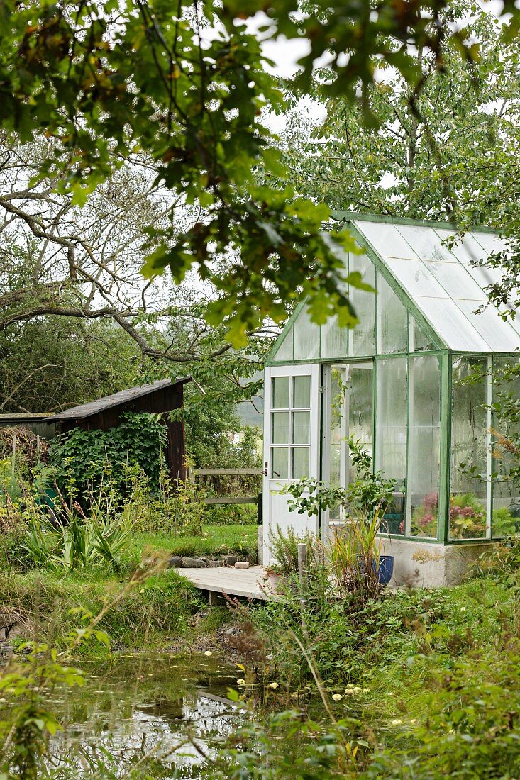Greenhouse and wooden deck next to pond in garden